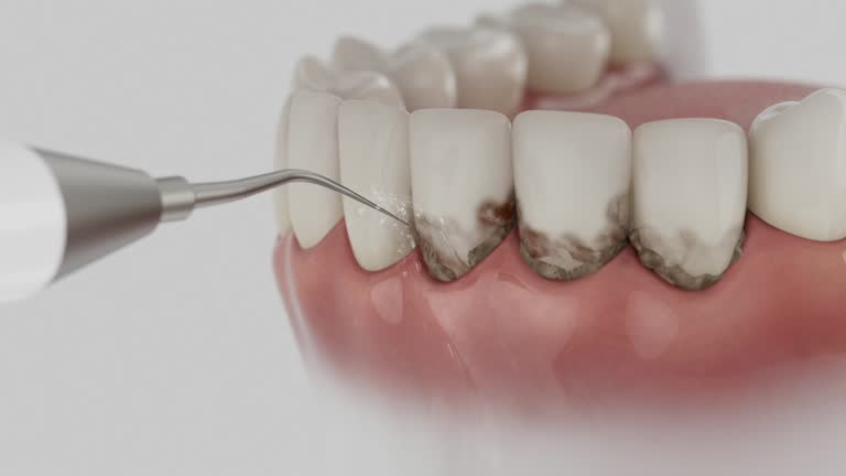 Reliable Dental contractor in Knoxville, IL by Dentist Open Now
